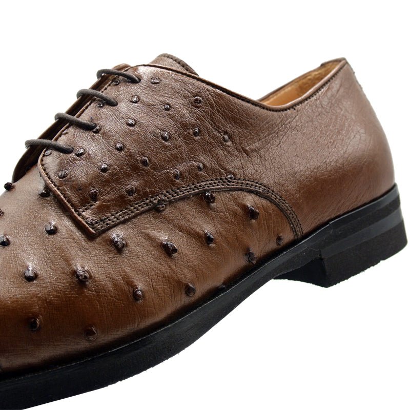 23 - 538 - Bdy Andrea Ostrich Quill Lace Up, Brandy Sale by Zelli Italia – Don't Panic Shoes