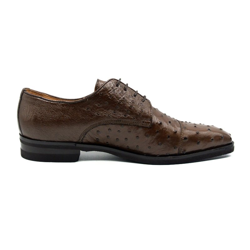 23 - 538 - Brn Andrea Ostrich Quill Lace Up, Brown Sale by Zelli Italia – Don't Panic Shoes