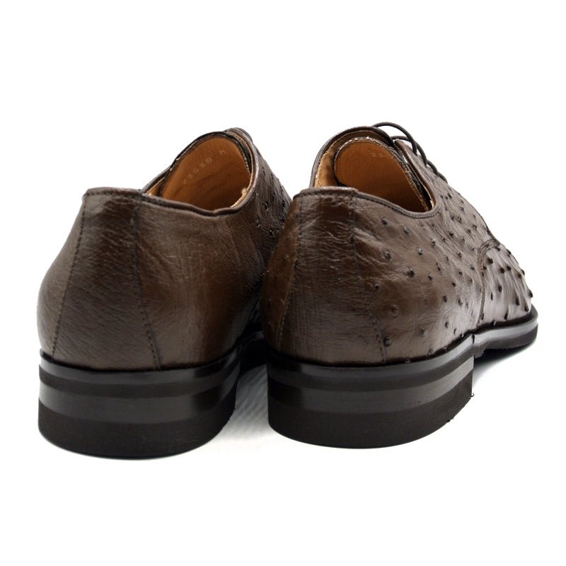 23 - 538 - Brn Andrea Ostrich Quill Lace Up, Brown Sale by Zelli Italia – Don't Panic Shoes