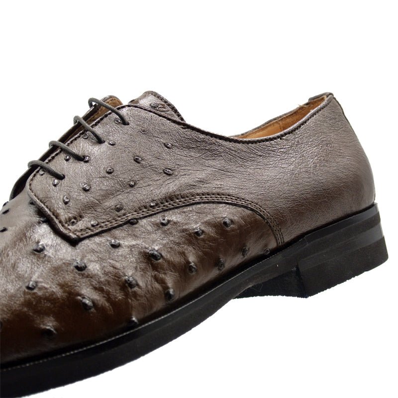 23 - 538 - Brn Andrea Ostrich Quill Lace Up, Brown Sale by Zelli Italia – Don't Panic Shoes