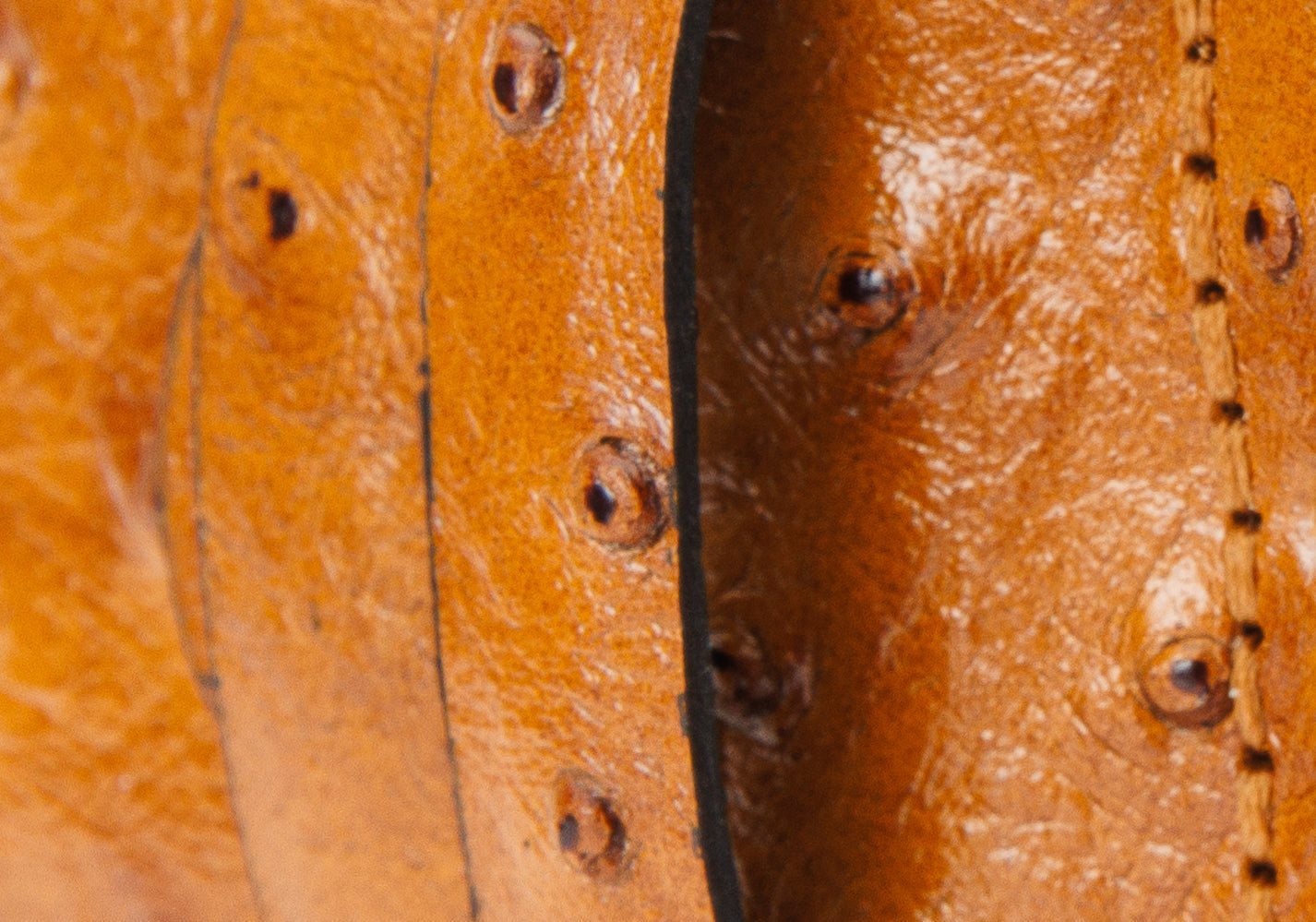 The Bradlee Tan Calfskin Belt