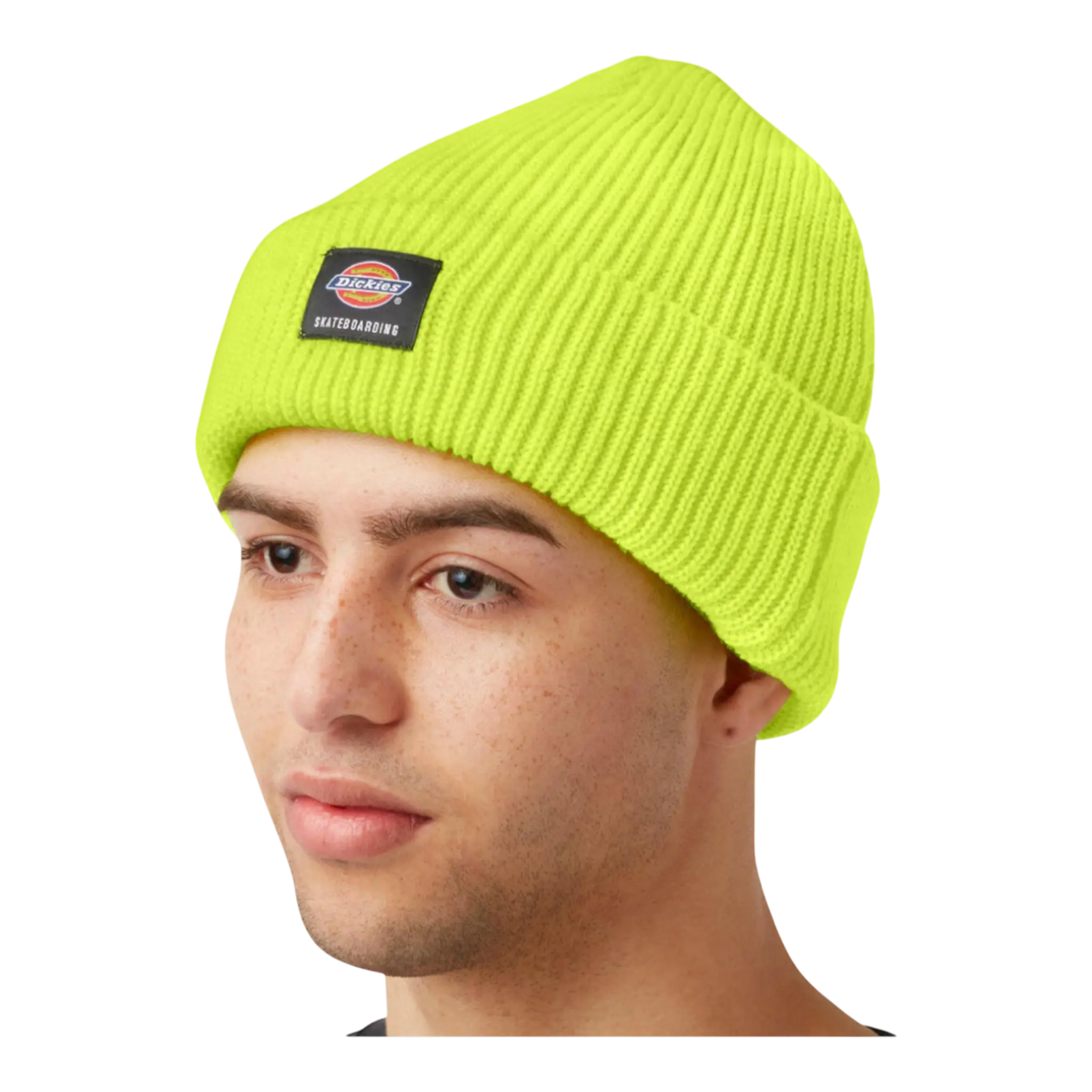 Dickies Skateboarding Cuffed Beanie Winter Knit Warm