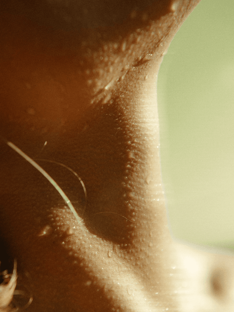 BYMANYC New York Manhattan Nocturne Premium Opulence Vegan