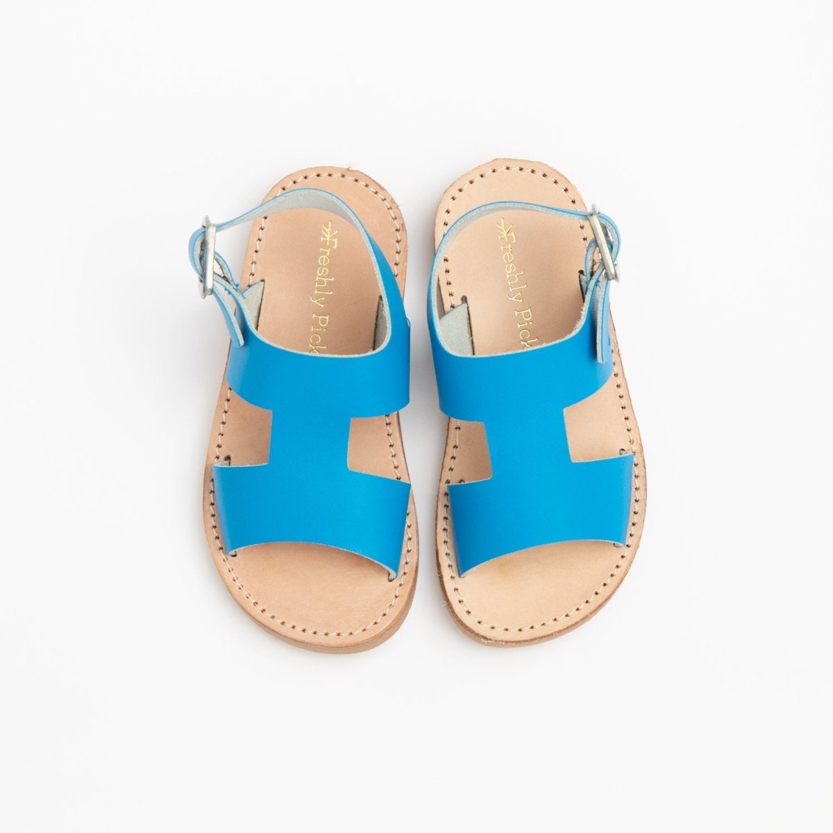 Cobalt Concord Concord Sandal by Freshly Picked – Don't Panic Shoes