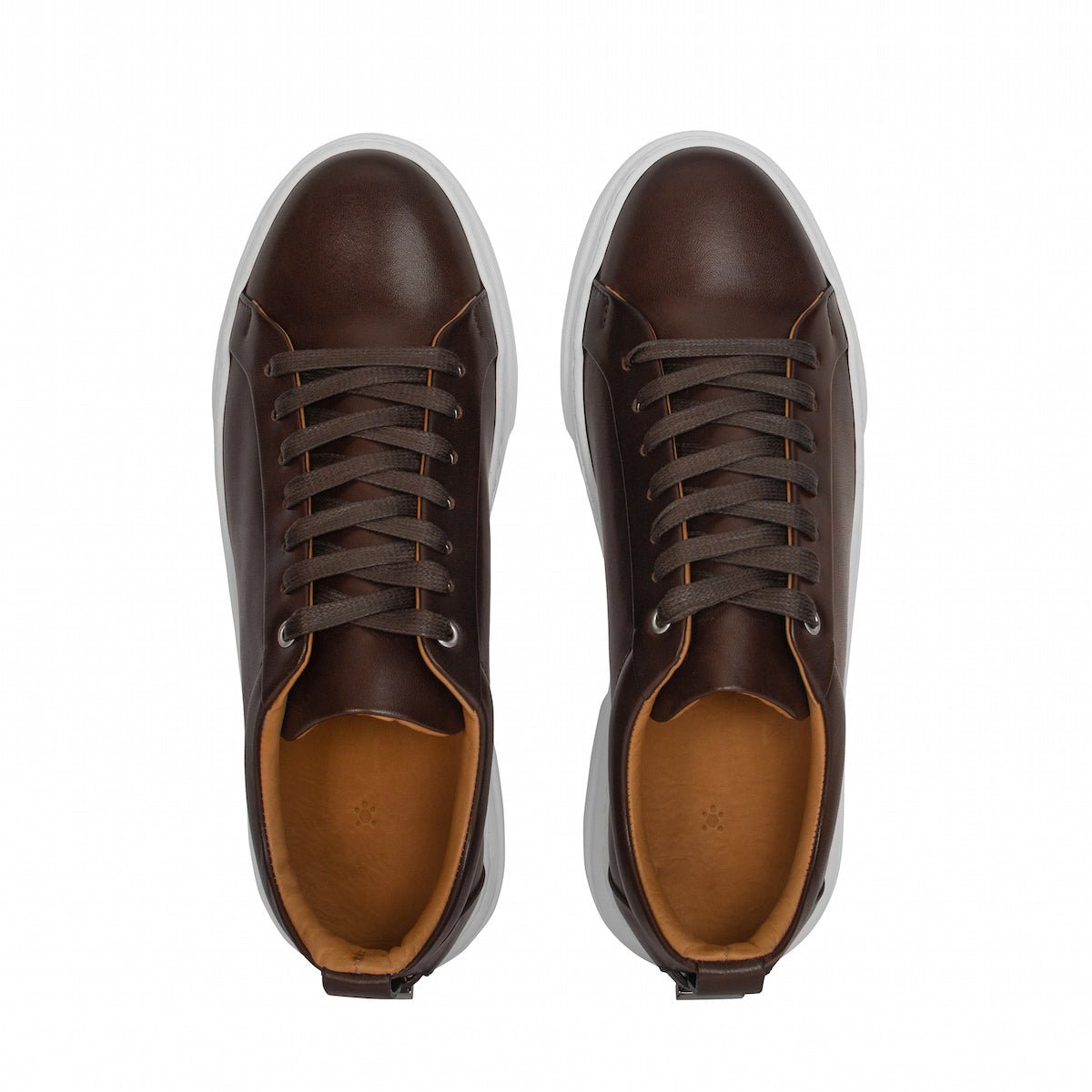 Men's Figaro - Espresso Men's Sneakers by Mocalmo – Don't Panic Shoes
