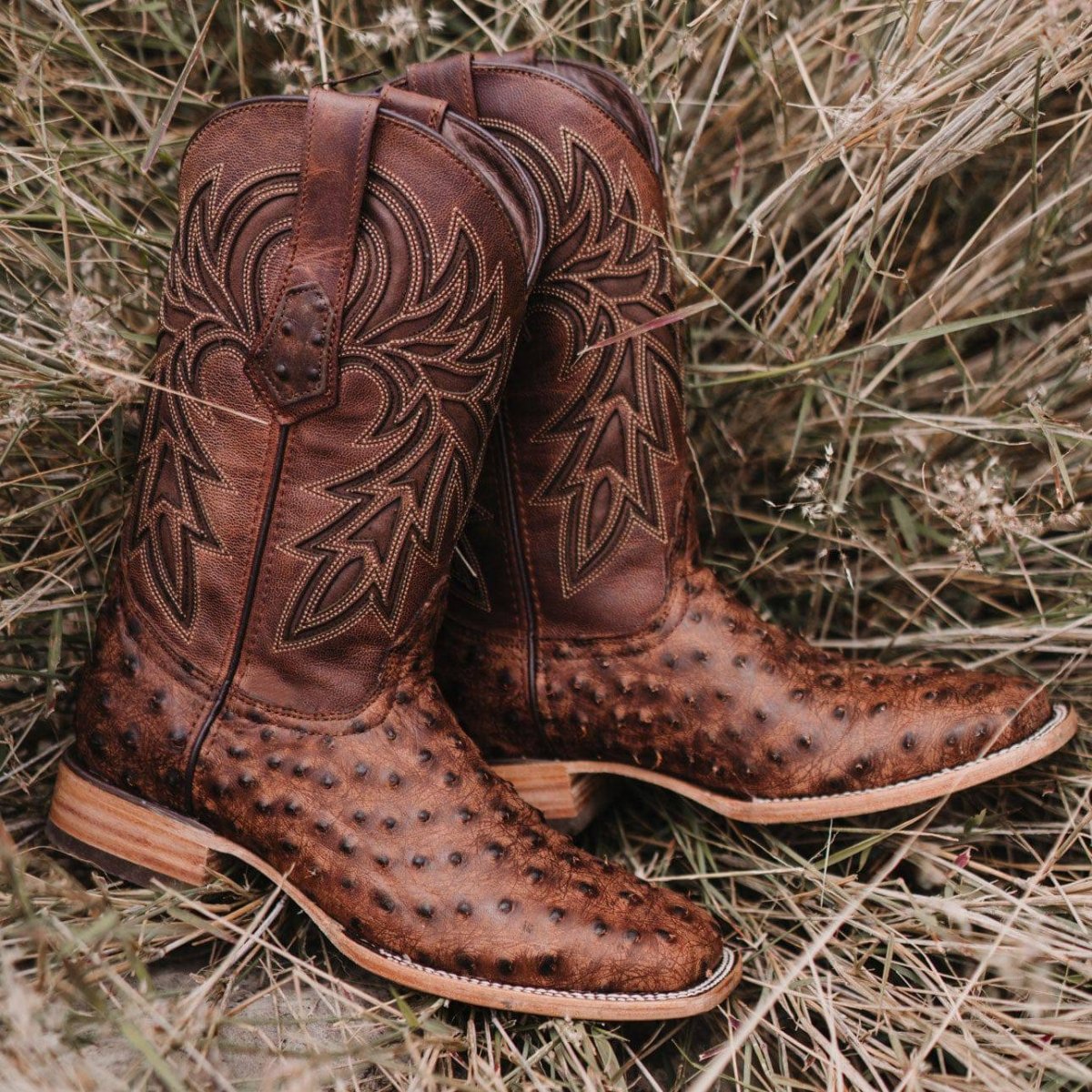 Soto Boots Mens Out Of The Wild Cognac Ostrich Print Boots H50031 Cowboy Boots by Soto Boots – Don't Panic Shoes