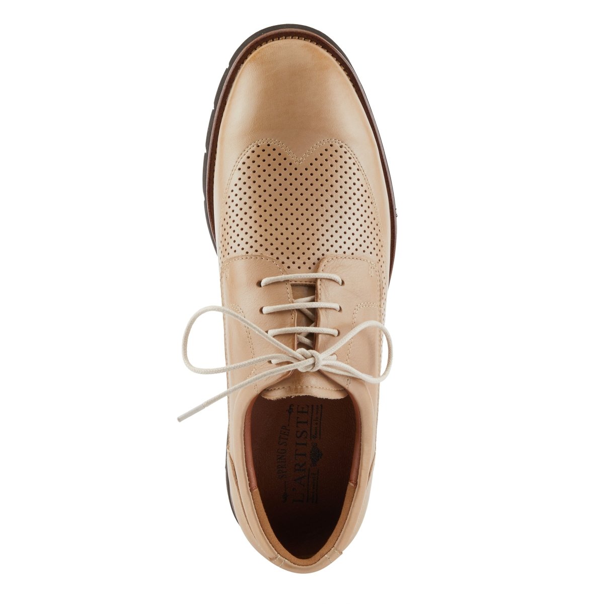 Spring Step Shoes L'artiste Men Adler Shoes Oxfords by Spring Step Shoes – Don't Panic Shoes