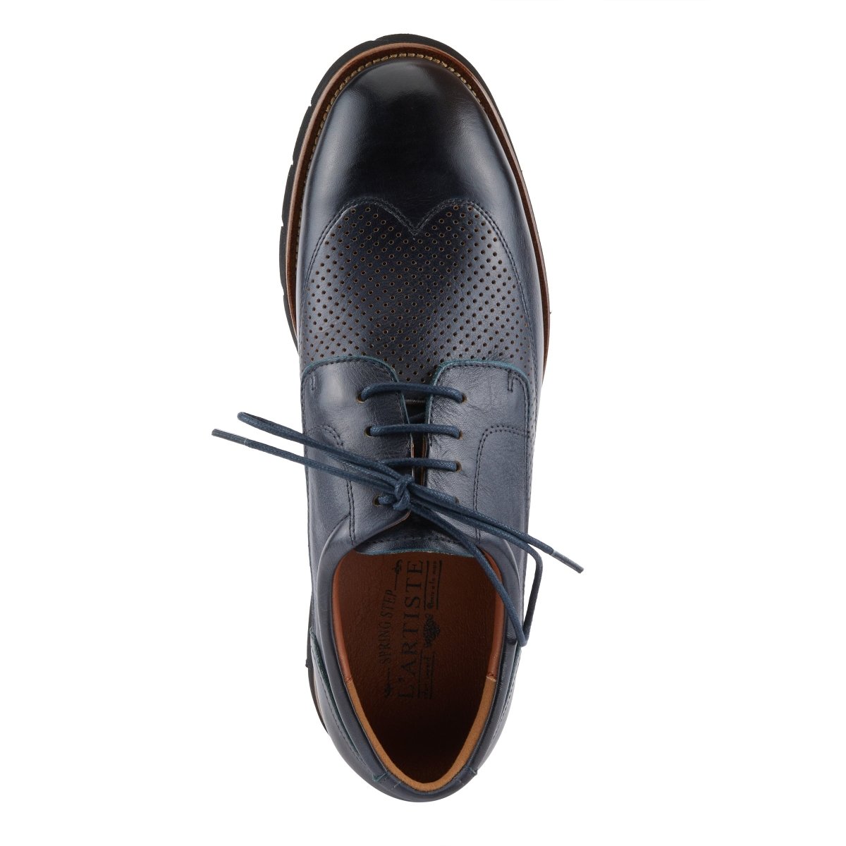 Spring Step Shoes L'artiste Men Adler Shoes Oxfords by Spring Step Shoes – Don't Panic Shoes