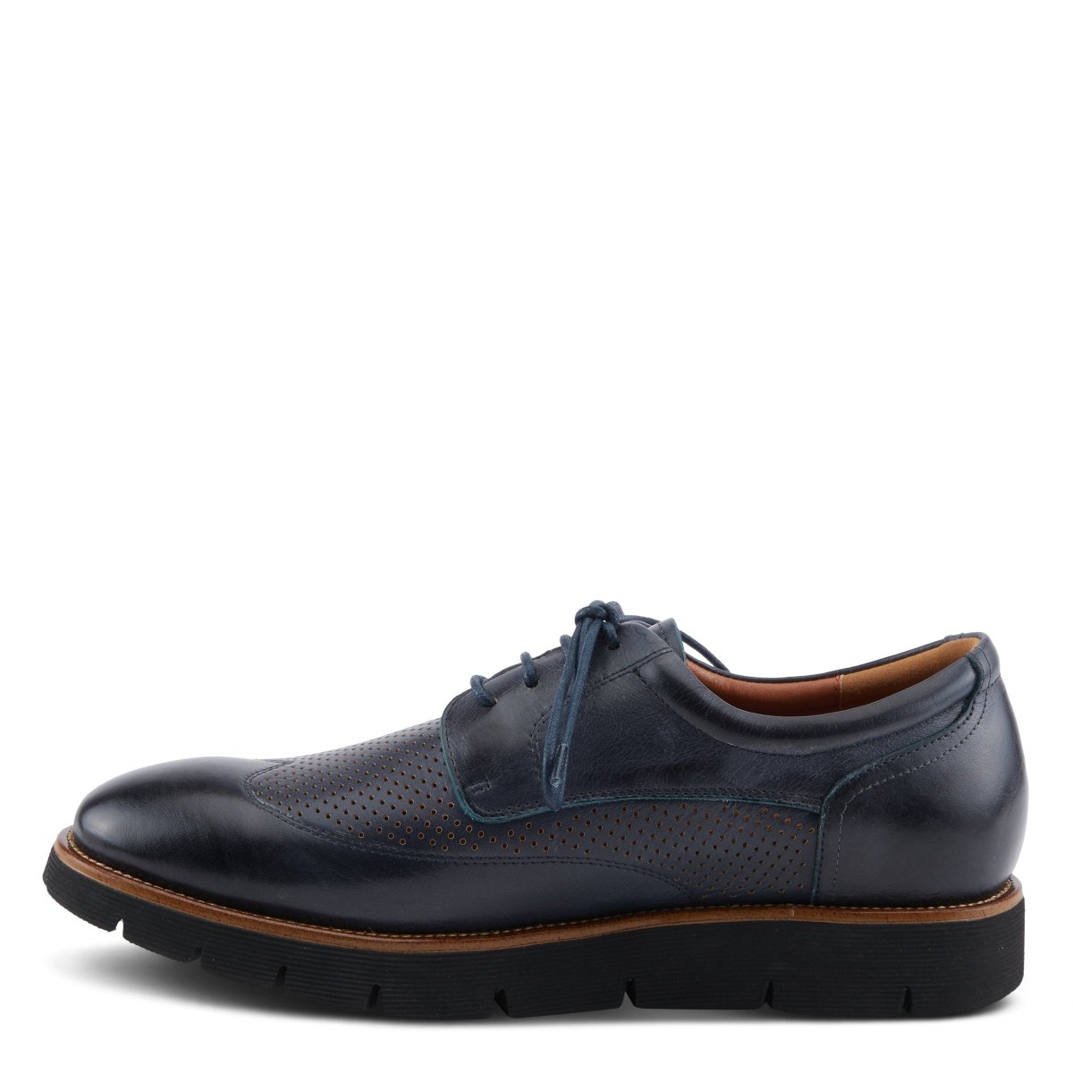 Spring Step Shoes L'artiste Men Adler Shoes Oxfords by Spring Step Shoes – Don't Panic Shoes