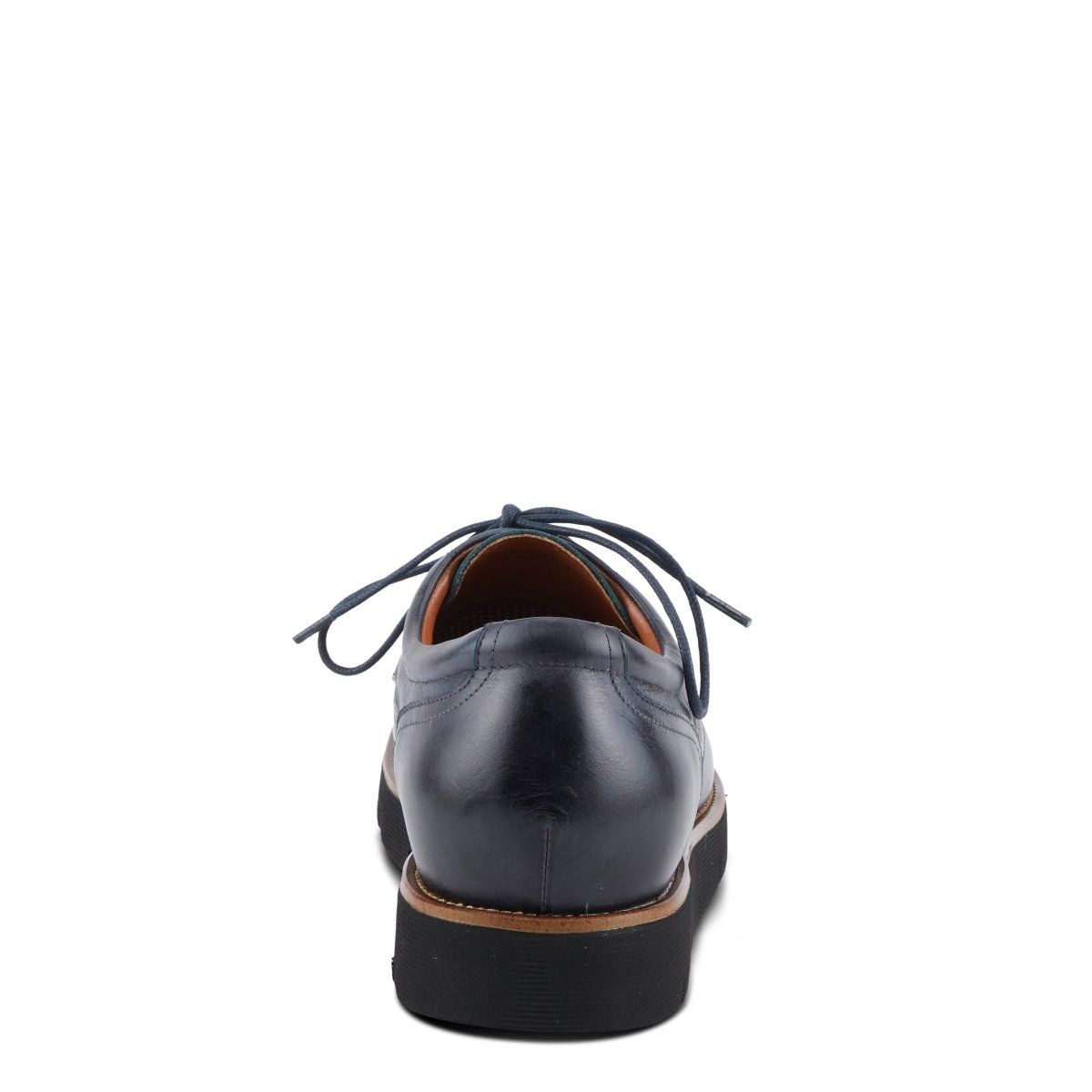 Spring Step Shoes L'artiste Men Adler Shoes Oxfords by Spring Step Shoes – Don't Panic Shoes