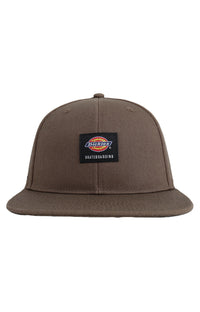 Thumbnail for Black Dickies Skateboarding Flat Bill Cap with mushroom embroidered logo