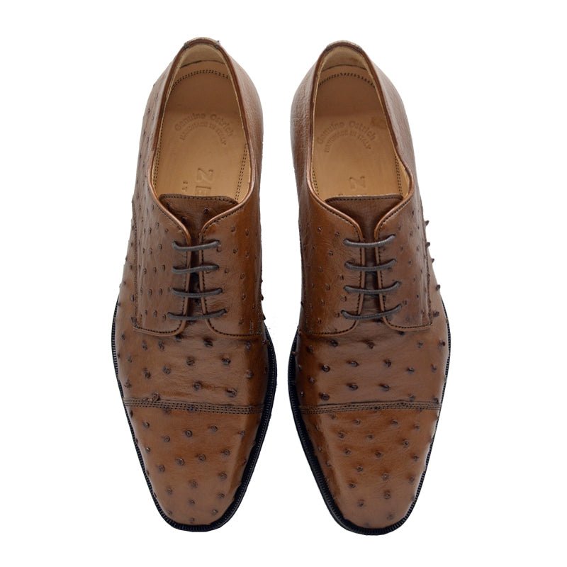 23 - 538 - Bdy Andrea Ostrich Quill Lace Up, Brandy Sale by Zelli Italia – Don't Panic Shoes
