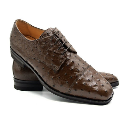 23 - 538 - Brn Andrea Ostrich Quill Lace Up, Brown Sale by Zelli Italia – Don't Panic Shoes