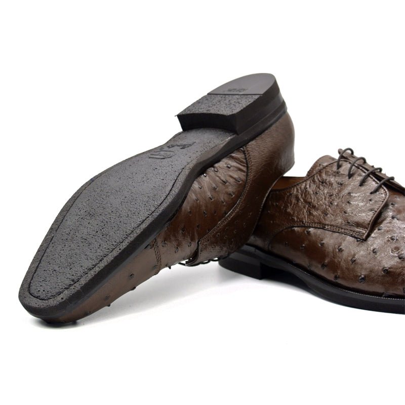 23 - 538 - Brn Andrea Ostrich Quill Lace Up, Brown Sale by Zelli Italia – Don't Panic Shoes
