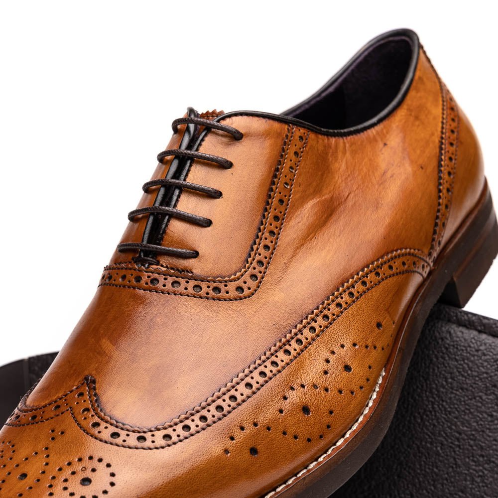 25 - 562 - Cml Stephano Wingtip Oxford Camel Shop by Zelli Italia – Don't Panic Shoes