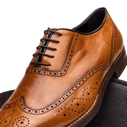 25 - 562 - Cml Stephano Wingtip Oxford Camel Shop by Zelli Italia – Don't Panic Shoes