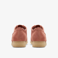 Thumbnail for Pair of Mens CLARKS WALLABEE - TERRACOTTA SDE shoes on a shelf