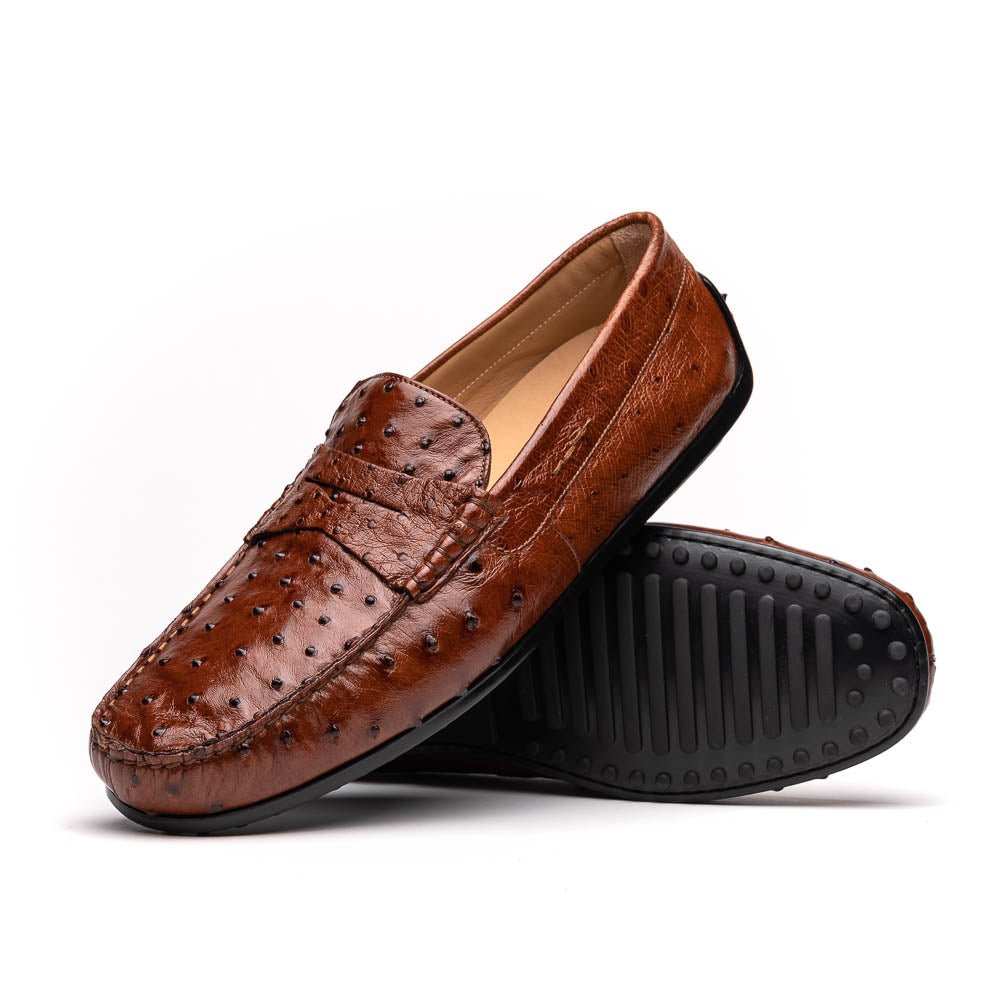 33 - 100 - Bdy Monza Ostrich Quill Driver, Brandy Shop by Zelli Italia – Don't Panic Shoes
