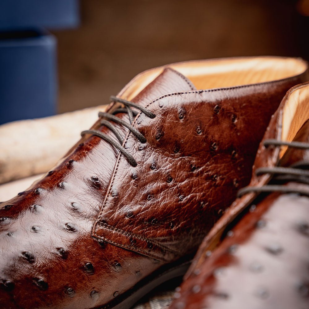 43 - 594 - Brn Marco Ostrich Quill Chukka Boot, Brown Shop by Zelli Italia – Don't Panic Shoes