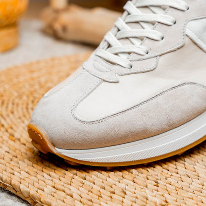 66 - 265 - Tpe Roxi Suede And Calfskin Sneaker, Taupe Shop by Zelli Italia – Don't Panic Shoes