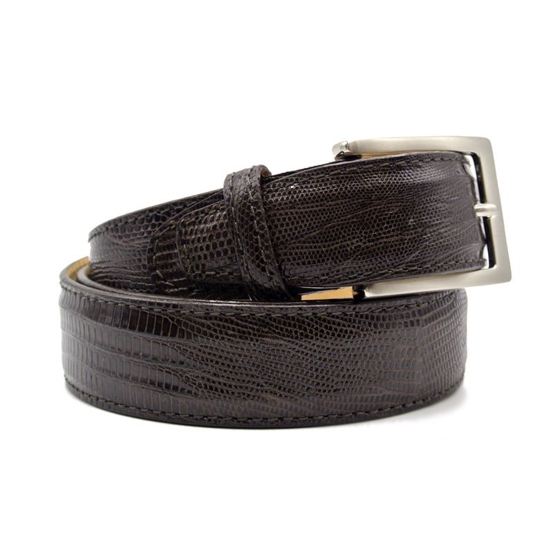 74 - 350 - Brn Belt Teju Lizard, Brown Shop by Zelli Italia – Don't Panic Shoes