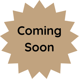 The Closed Toe Sandal