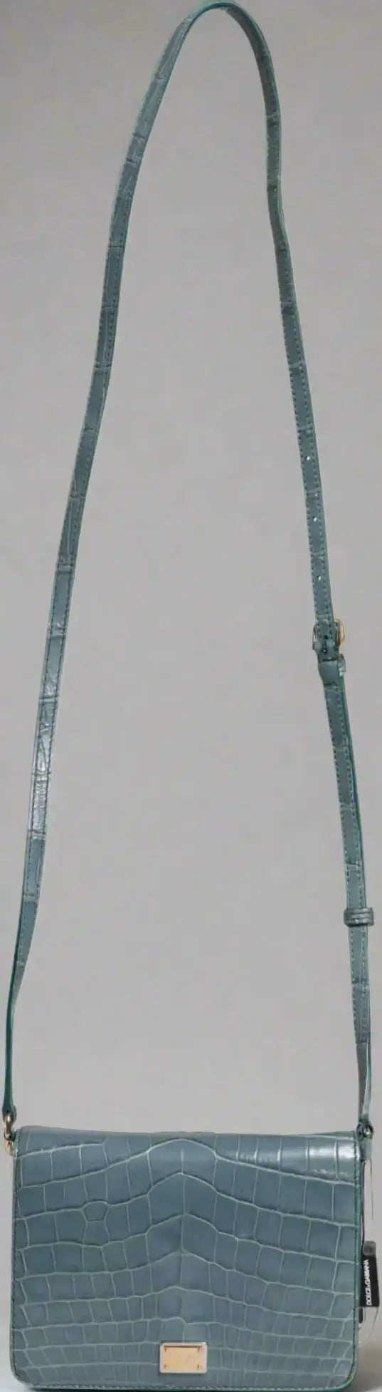 Dolce & Gabbana Green Exotic Leather DG Plaque Crossbody Mini Bag