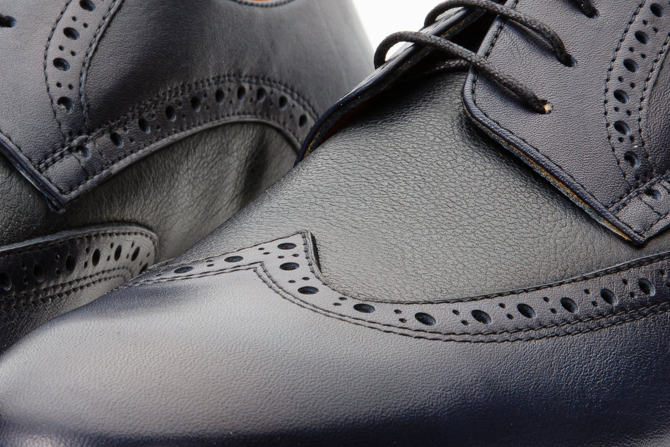 The Molise Navy Blue Wingtip Semi Brogue Derby Men Shoe  Final Sale!