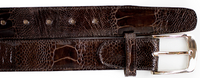 Thumbnail for Ostrich Leg Belt- Chocolate Brown