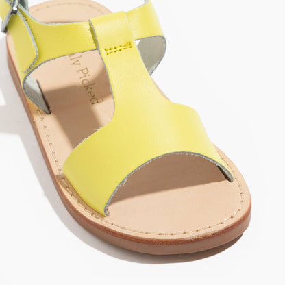 Citron Malibu Malibu Sandal by Freshly Picked – Don't Panic Shoes