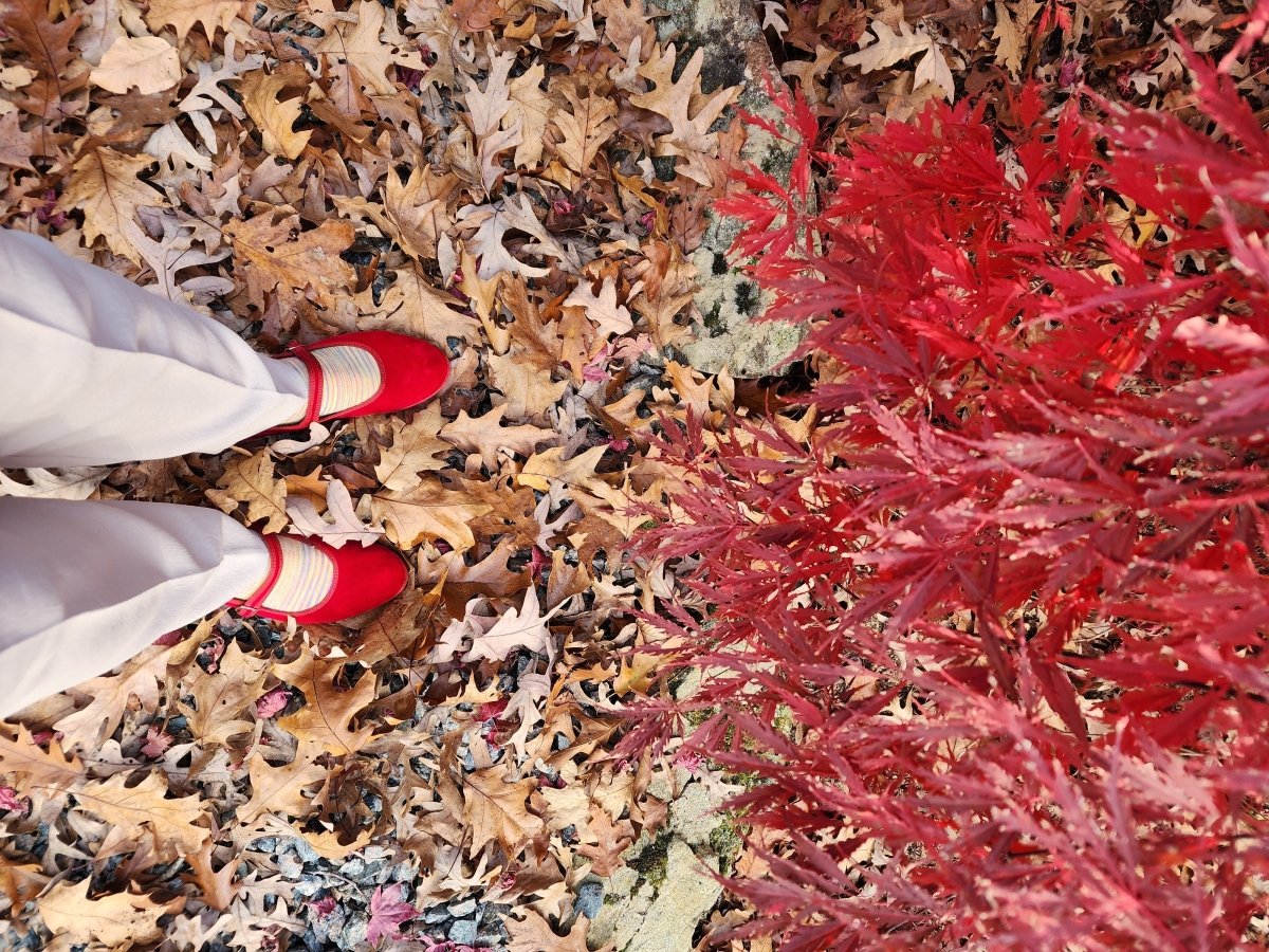 Ginger Mary Jane Women’S Velvet Rosso Seta Slip On by Mar Soreli – Don't Panic Shoes