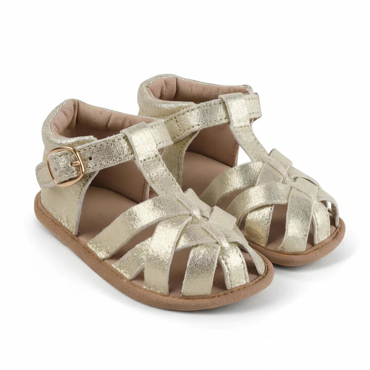 The Closed Toe Sandal