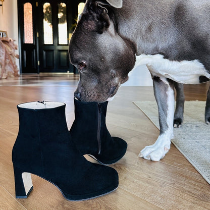 Scottie Ankle Suede Platform Bootie Women’S Black 76mm Boots by Beautiisoles – Don't Panic Shoes