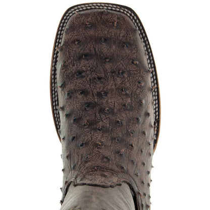 Soto Boots Mens Out Of The Wild Brown Ostrich Print Boots H50031 Cowboy Boots by Soto Boots – Don't Panic Shoes