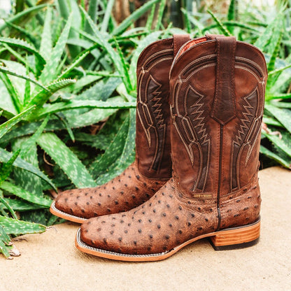 Soto Boots Mens Out Of The Wild Cognac Ostrich Print Boots H50031 Cowboy Boots by Soto Boots – Don't Panic Shoes