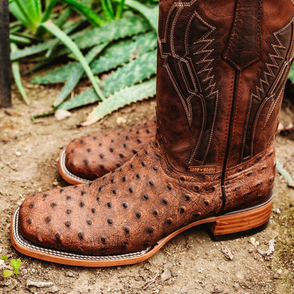 Soto Boots Mens Out Of The Wild Cognac Ostrich Print Boots H50031 Cowboy Boots by Soto Boots – Don't Panic Shoes