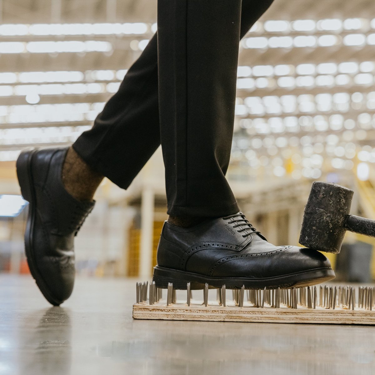 Steel Toe Oxford Shoe Captain Black Executive Safe by Proxon Premium Workwear – Don't Panic Shoes